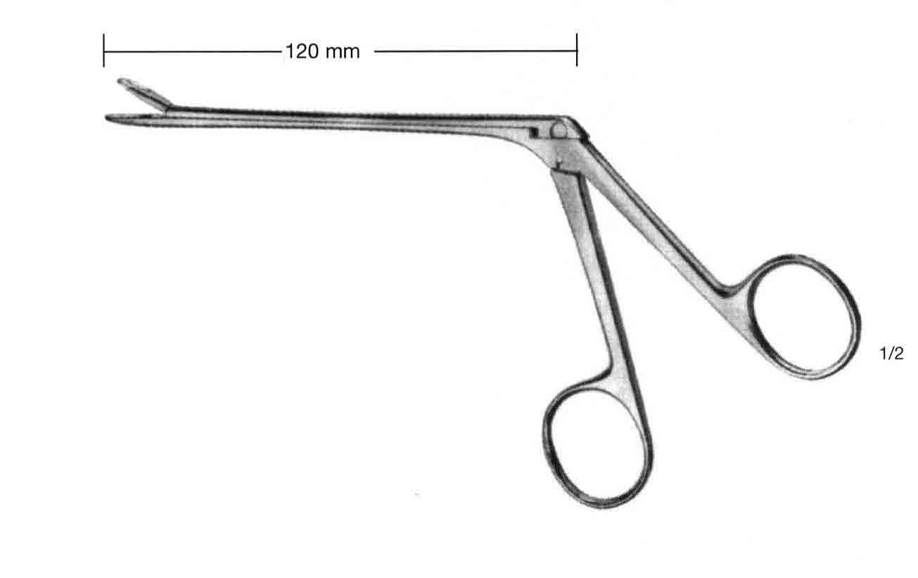 WEIL BLAKESLEY RONJUR 4.2 MM